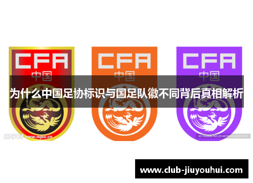 为什么中国足协标识与国足队徽不同背后真相解析